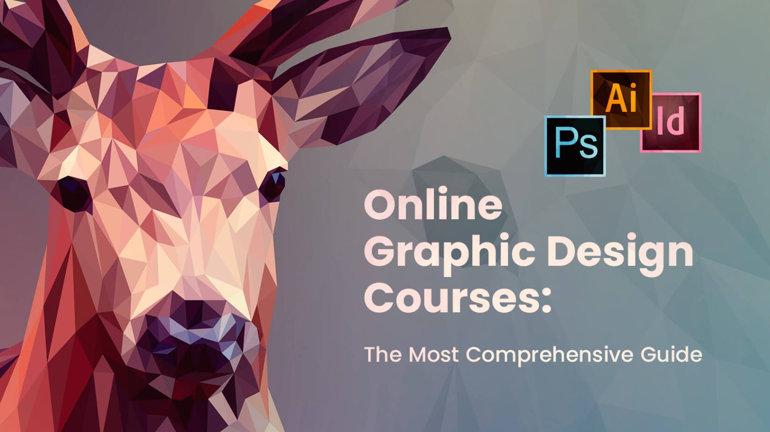 graphic design online courses Niche Utama Home Online Graphic Design Courses: The Most Comprehensive Guide